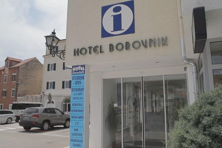 Hotel Borovnik